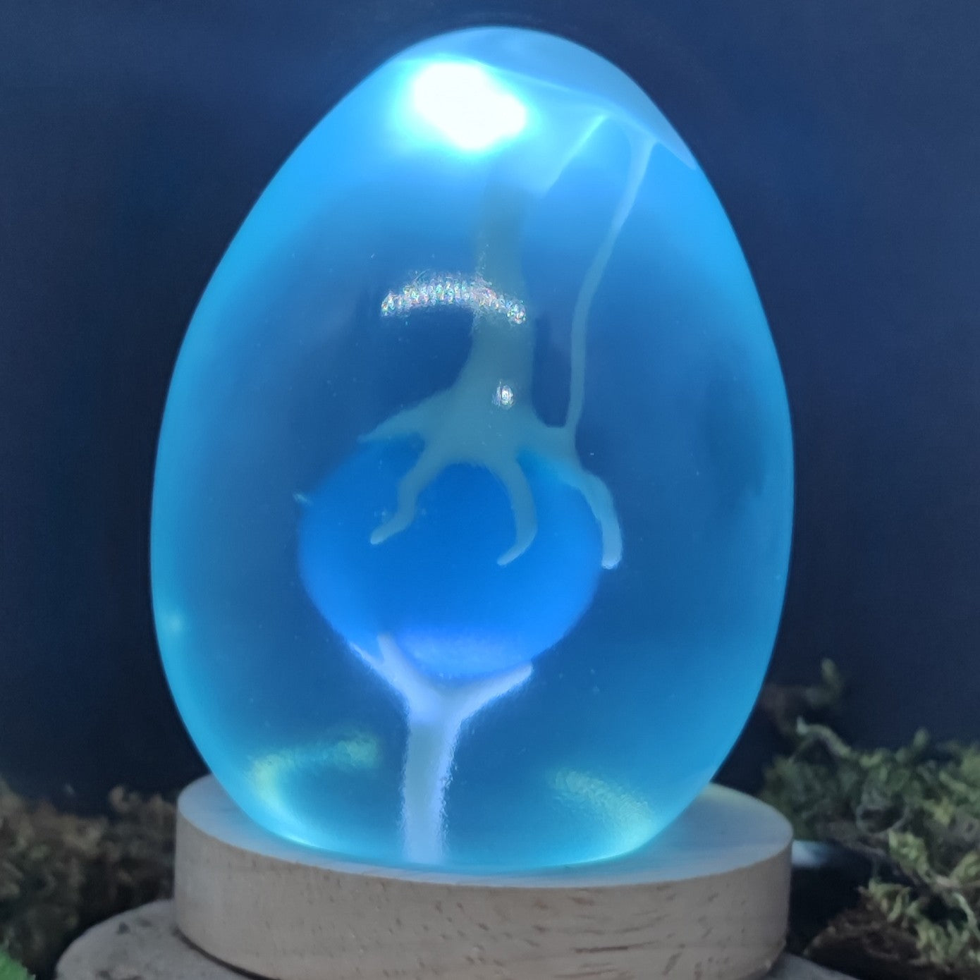 Dofus Turquoise 1.29