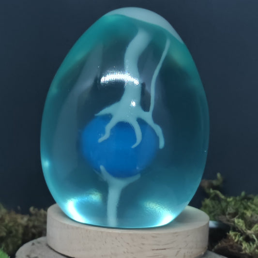 Dofus Turquoise 1.29