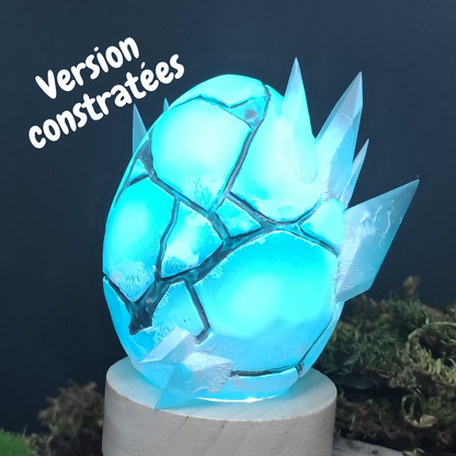 Dofus Des Glaces (Prototype)