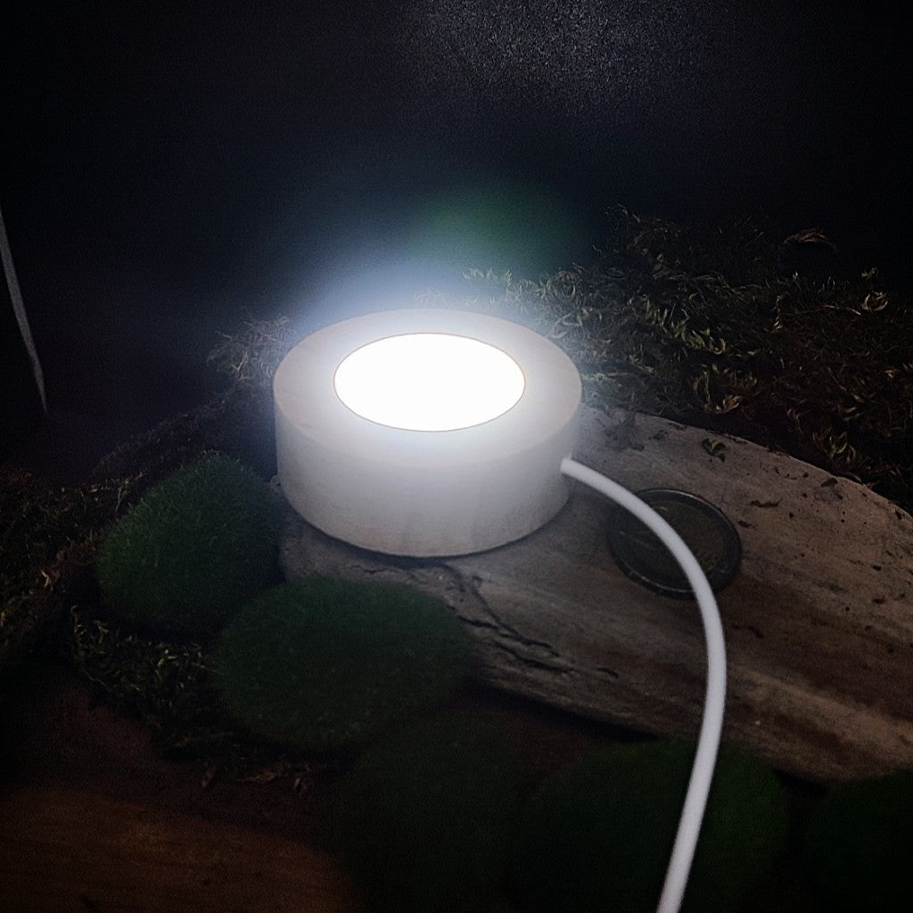Socle led opaque filaire