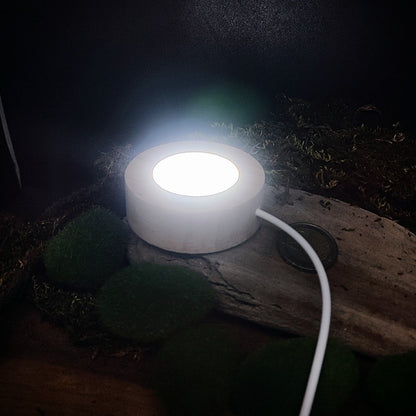 Socle led opaque filaire