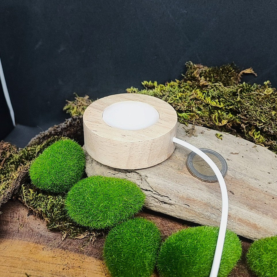 Socle led opaque filaire