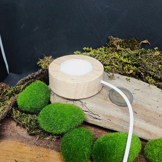 Socle led opaque filaire